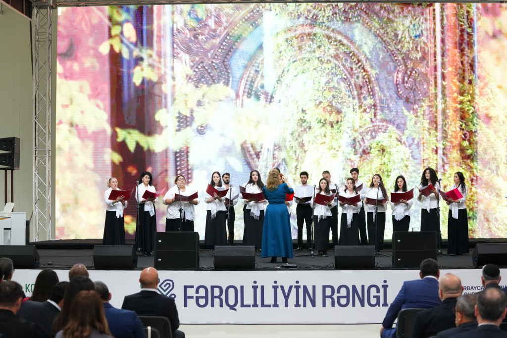 “Fərqliliyin rəngi” adlı festival başa çatıb - Image 9