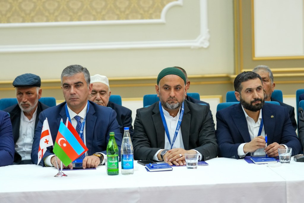 Naxçıvanda “Zəngəzur yolu: tarixin izi ilə” mövzusunda konfrans keçirilir - Image 10