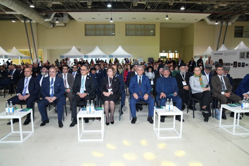Azərbaycanda “Fərqliliyin rəngi” adlı festival keçirilir - Image 5