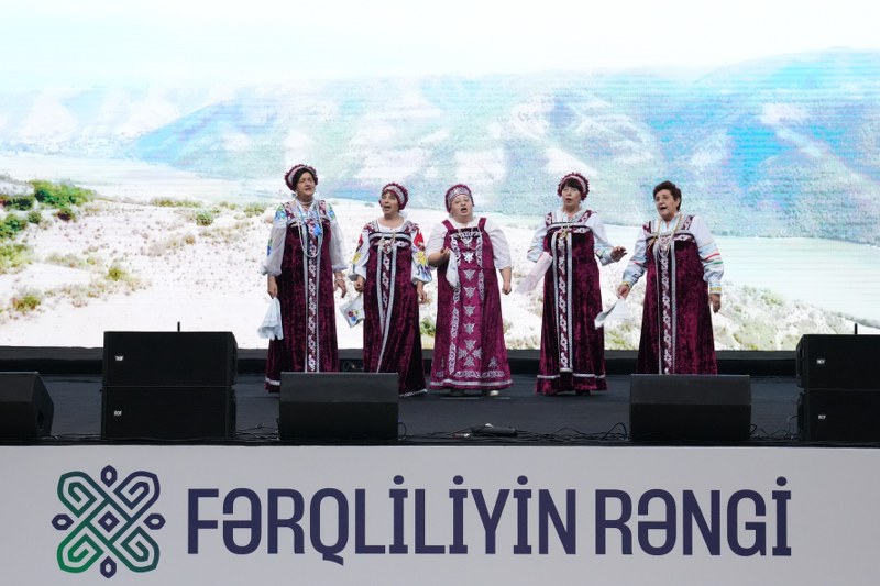 “Fərqliliyin rəngi” adlı festival başa çatıb - Image 25