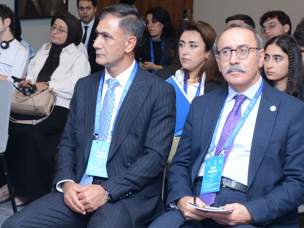 Beynəlxalq simpozium çərçivəsində panellər keçirilir - Image 8
