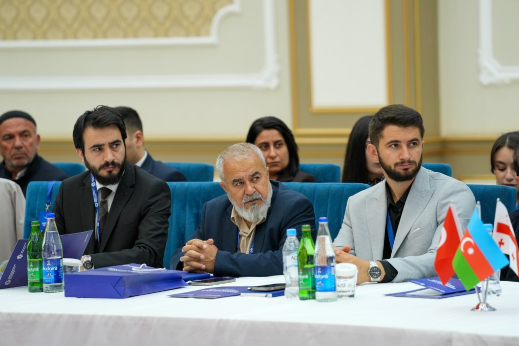Naxçıvanda “Zəngəzur yolu: tarixin izi ilə” mövzusunda konfrans keçirilir - Image 13