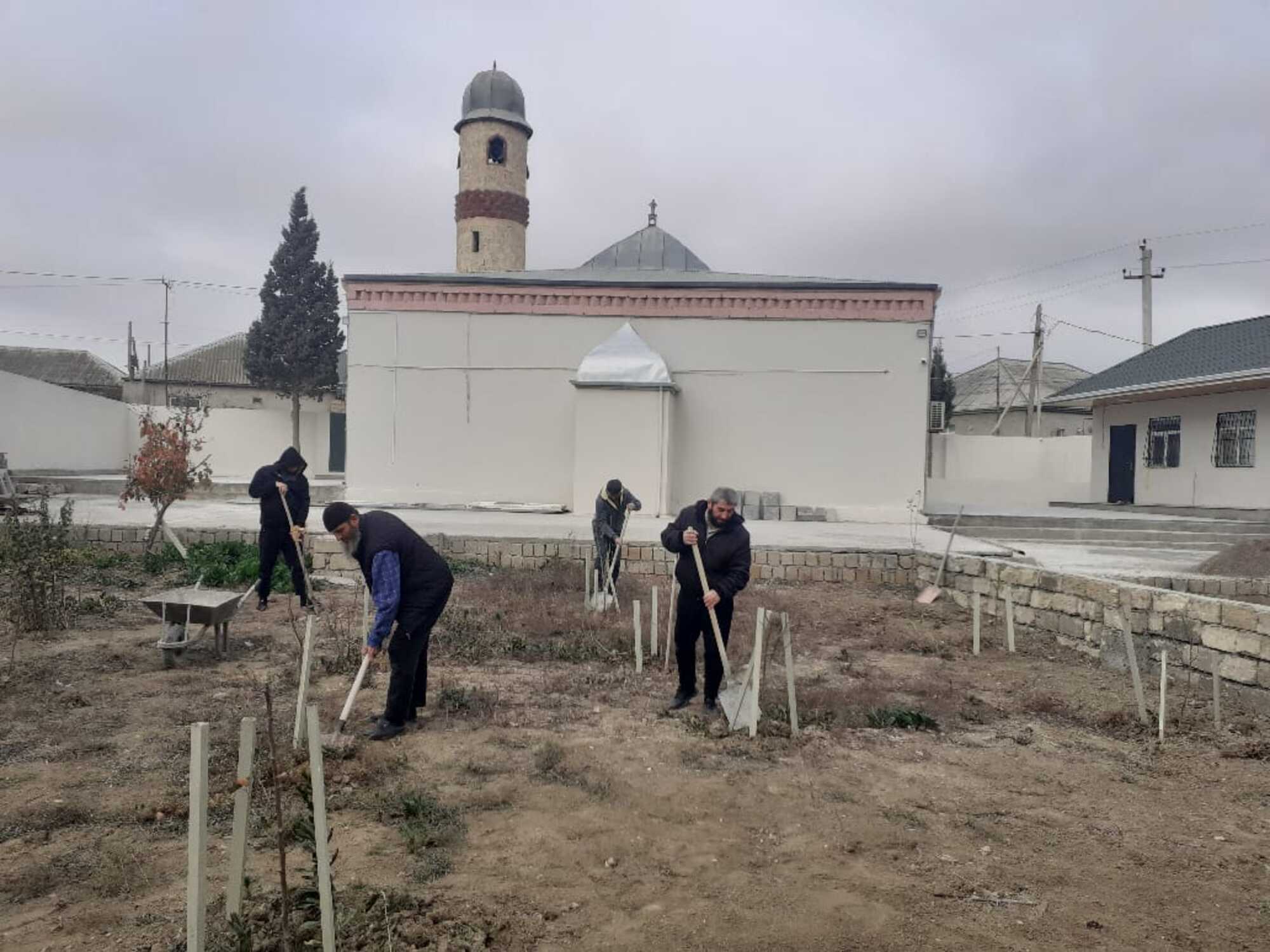 “Yaşıl gələcək naminə” aksiyası davam etdirilir - Image 13
