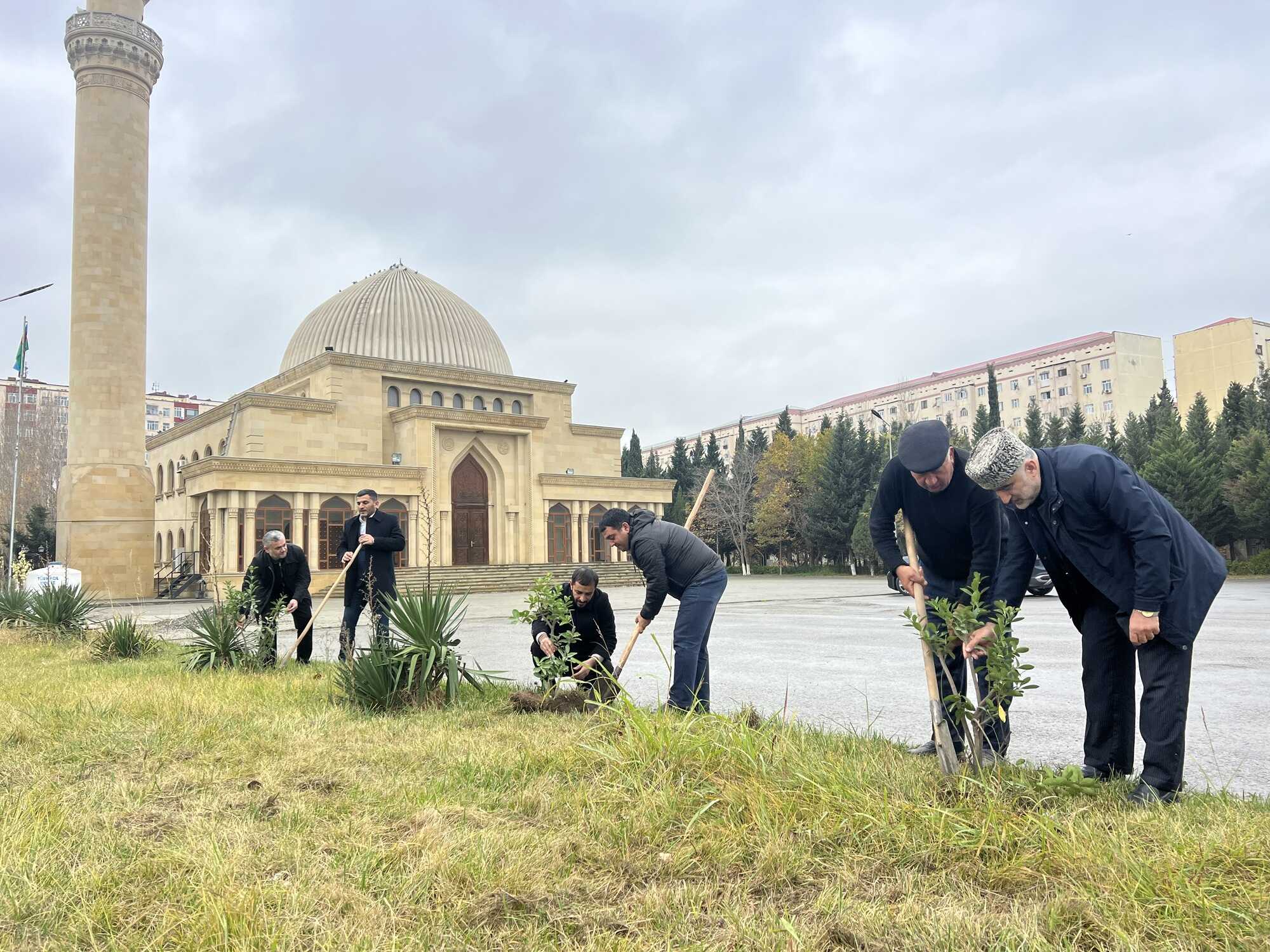 “Yaşıl gələcək naminə” aksiyası davam etdirilir - Image 10
