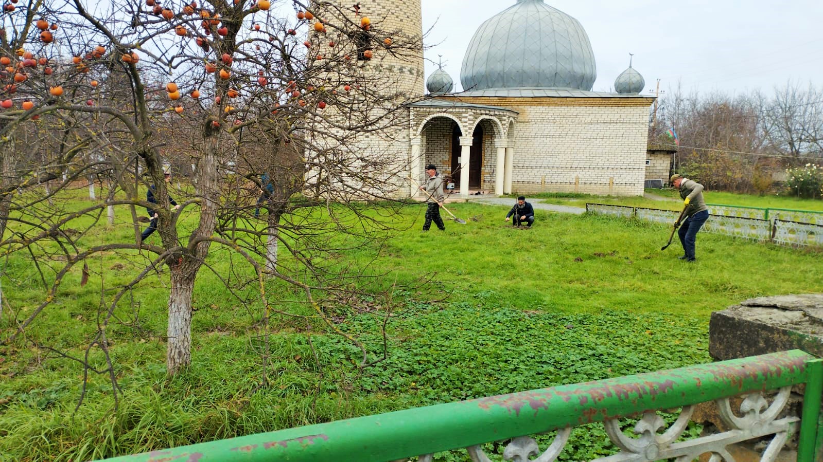 Ümummilli Lider Heydər Əliyevin Anım günü münasibətilə “Yaşıl gələcək naminə” aksiyasına start verilib - Image 20