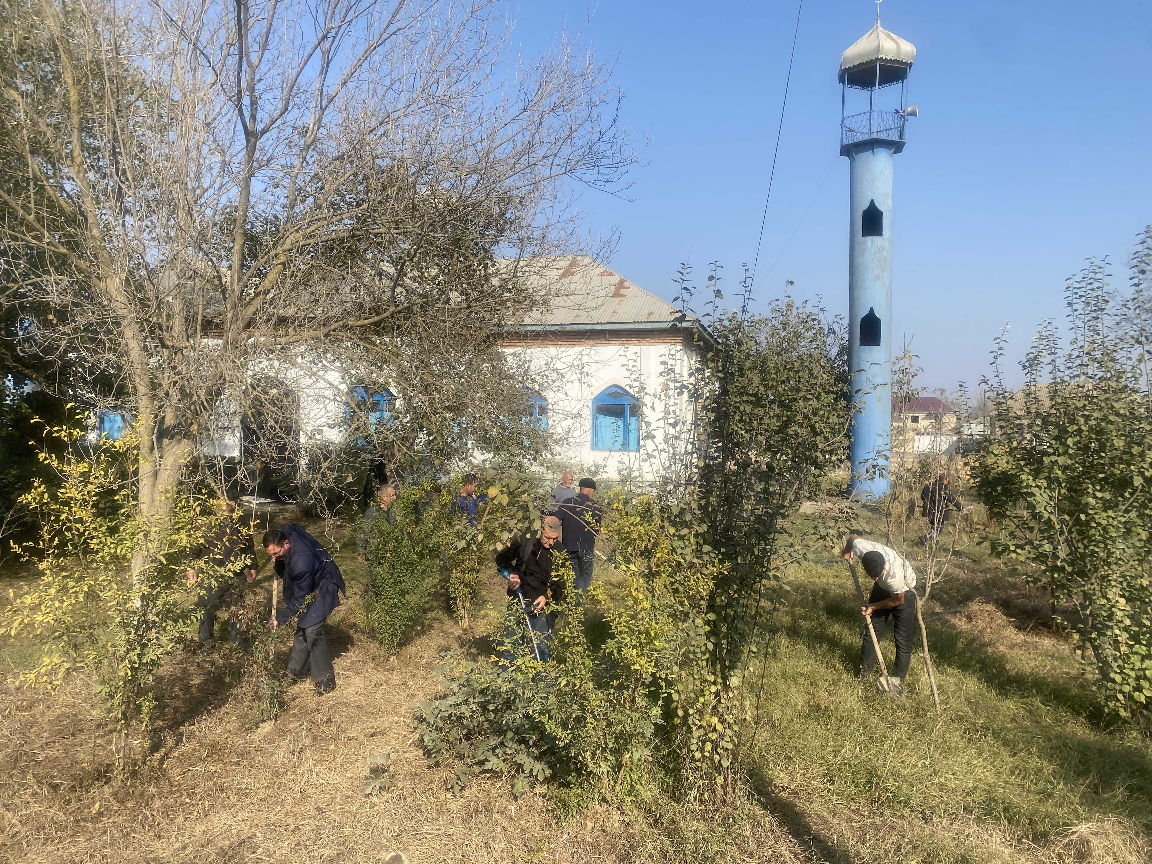“Yaşıl gələcək naminə” aksiyası davam etdirilir - Image 12