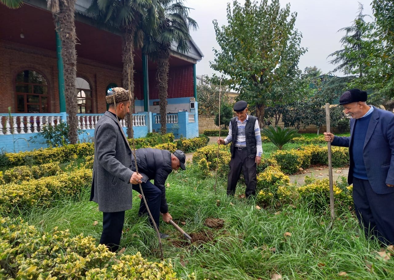 “Yaşıl gələcək naminə” aksiyası davam etdirilir - Image 11