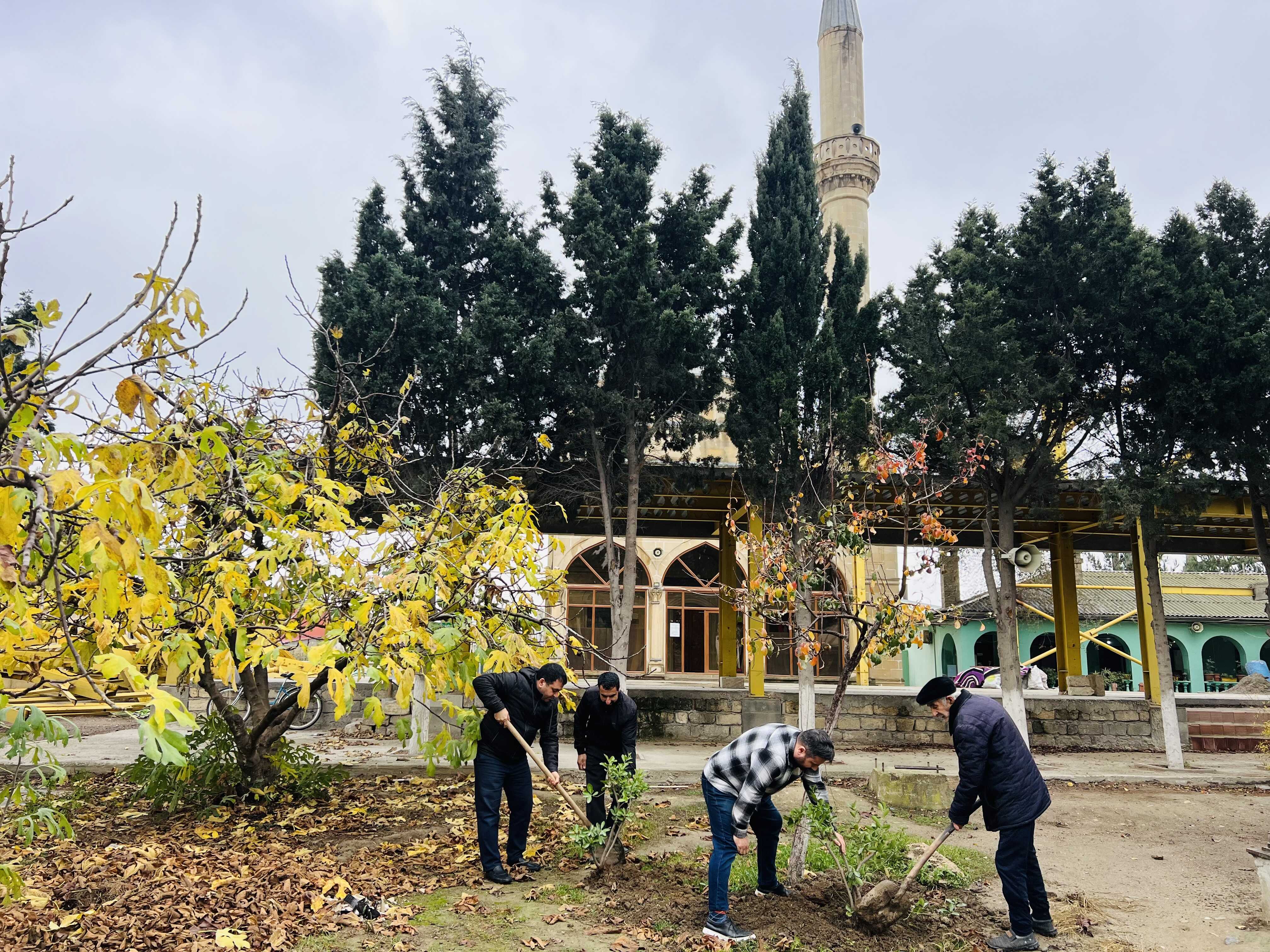 “Yaşıl gələcək naminə” aksiyası davam etdirilir - Image 21