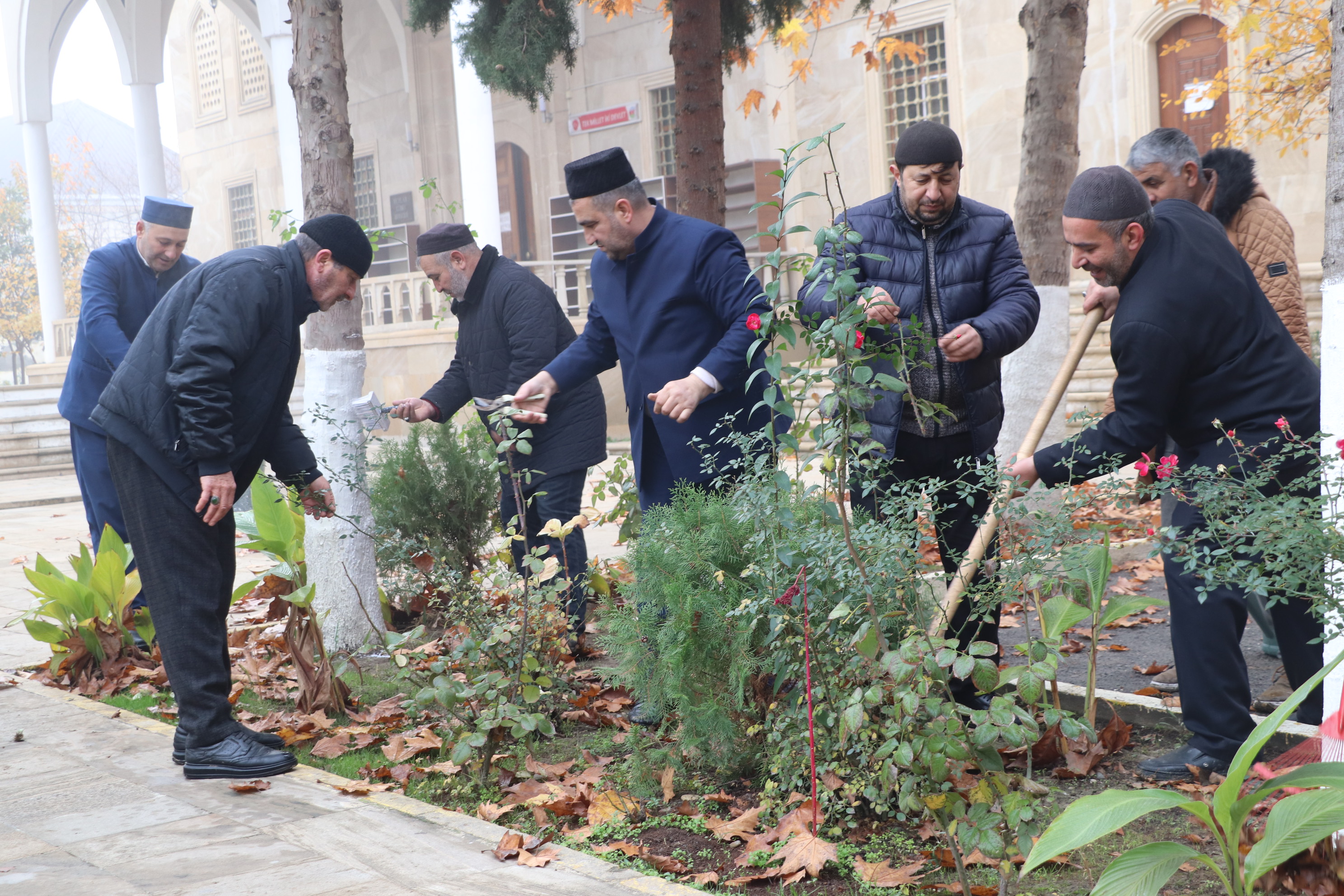 Bölgələrdə “Yaşıl gələcək naminə” aksiyası keçirilib - Image 14