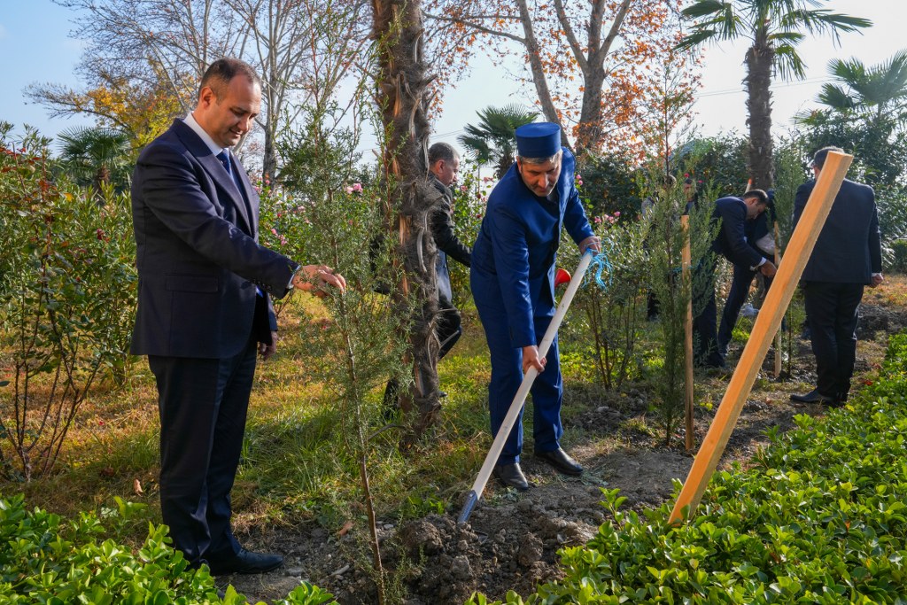 Mərkəzi Aran və Lənkəran-Astara bölgələrində “Yaşıl gələcək naminə” aksiyası keçirilib - Image 5