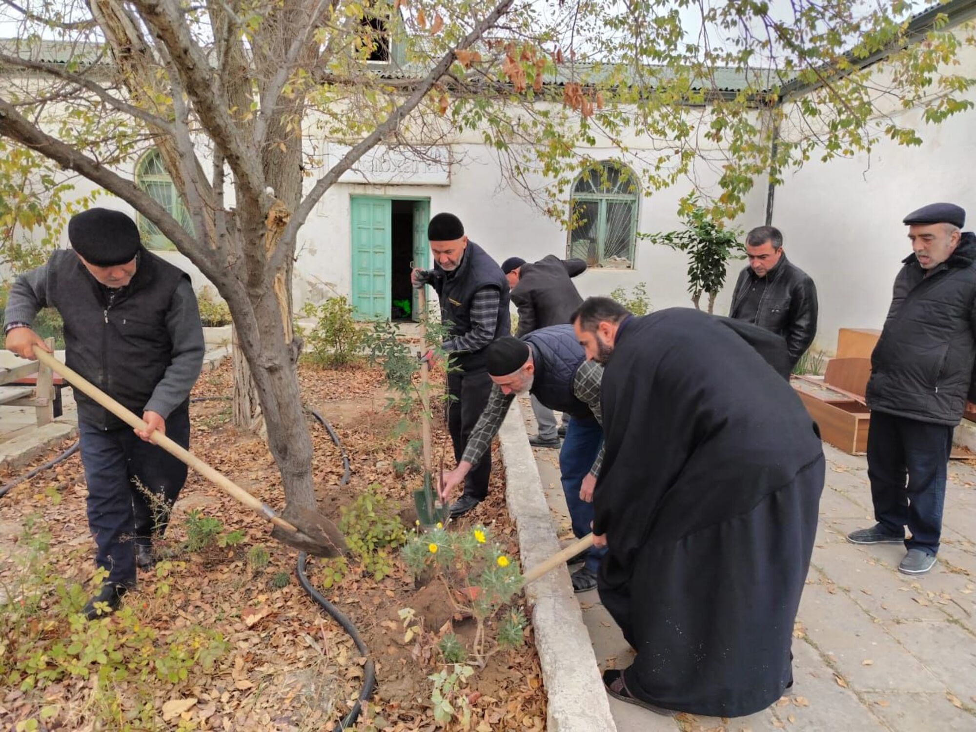 “Yaşıl gələcək naminə” aksiyası davam etdirilir - Image 3