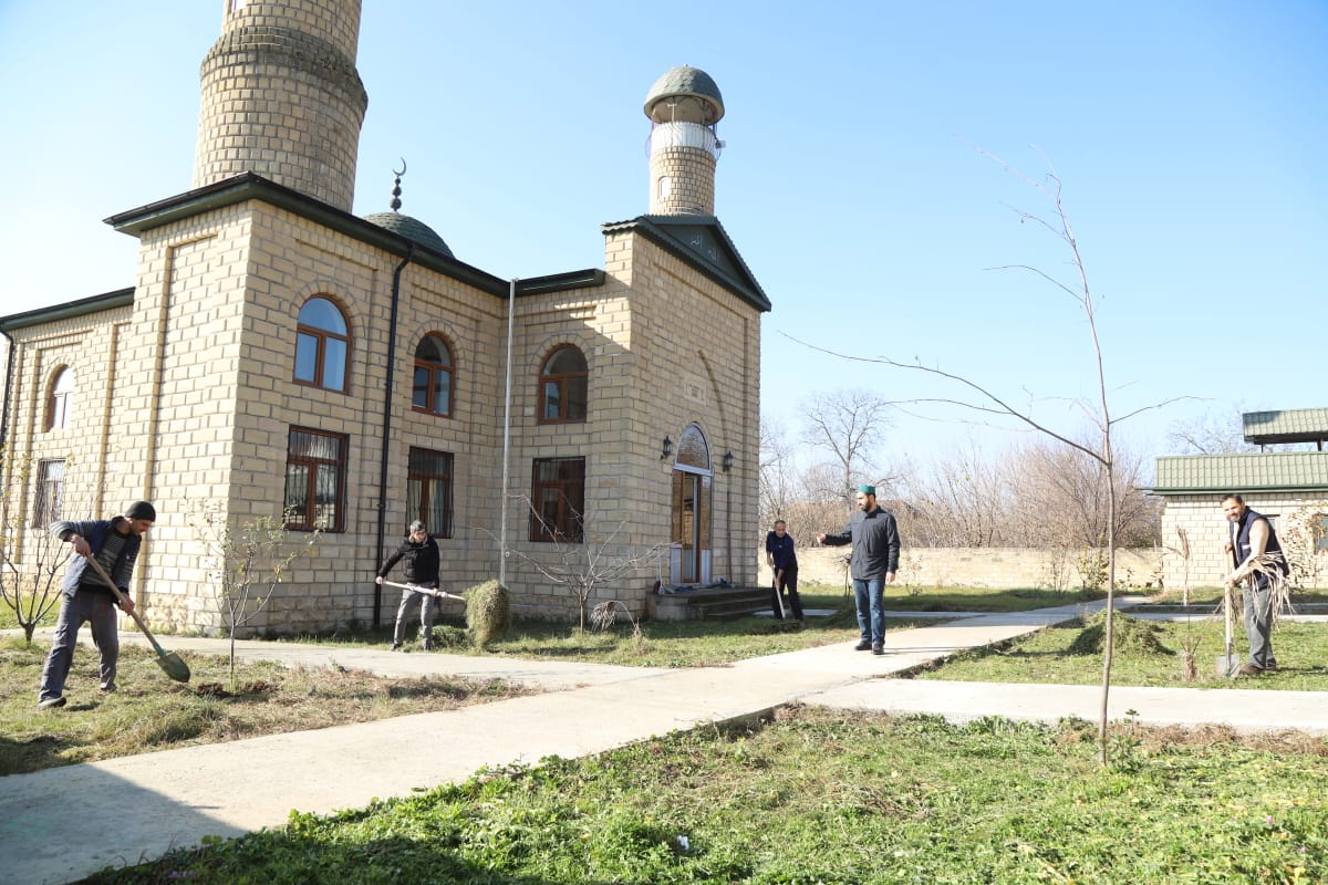 Bölgələrdə “Yaşıl gələcək naminə” aksiyası keçirilib - Image 19