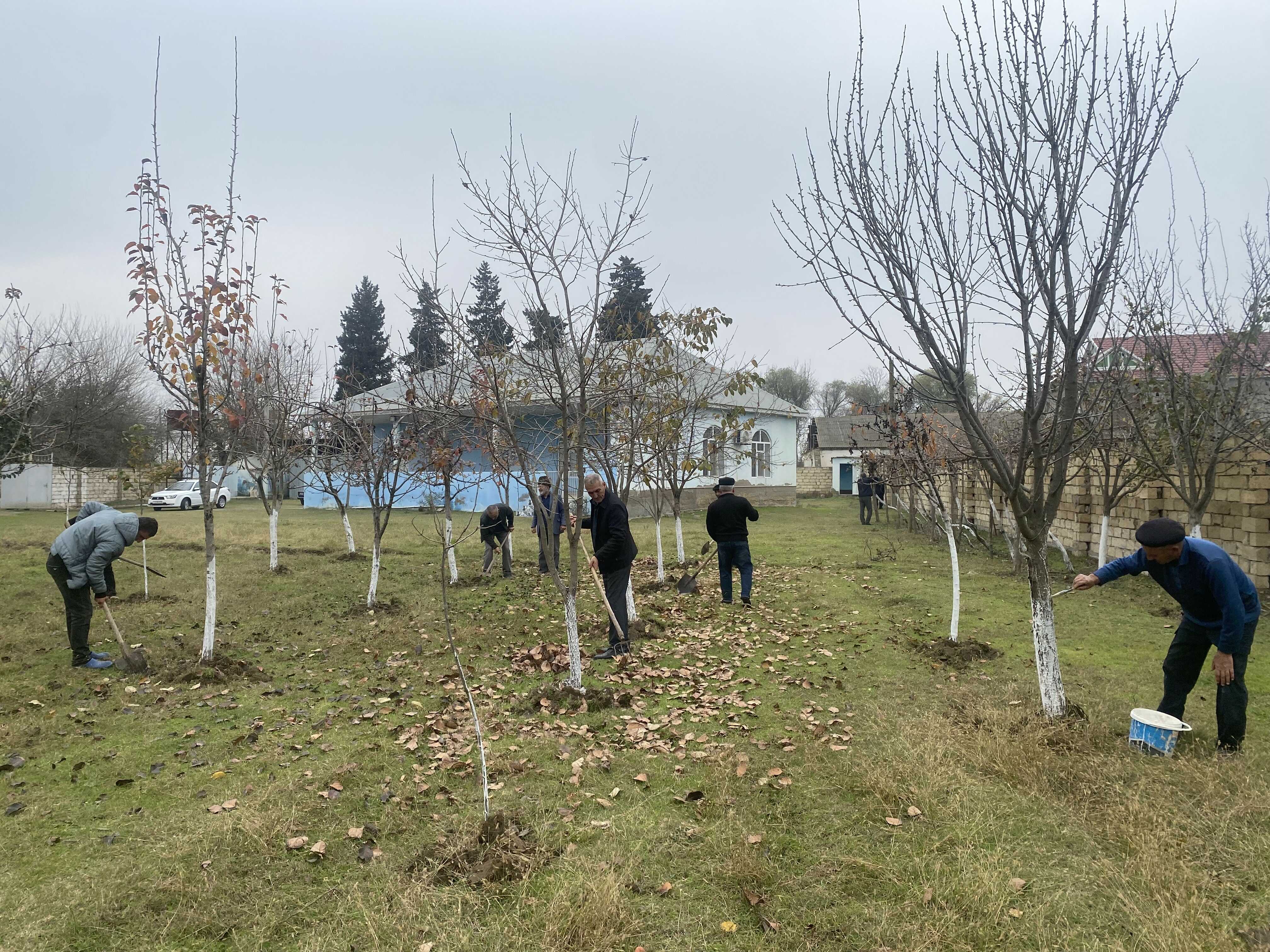 “Yaşıl gələcək naminə” aksiyası davam etdirilir - Image 15
