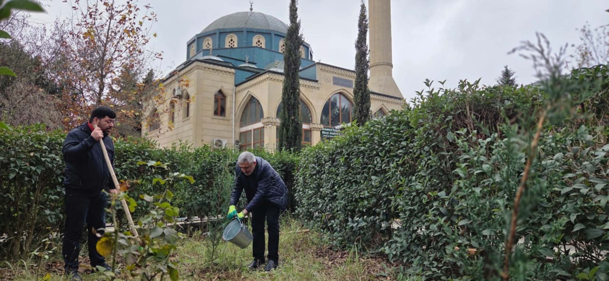 “Yaşıl gələcək naminə” aksiyası davam etdirilir - Image 17