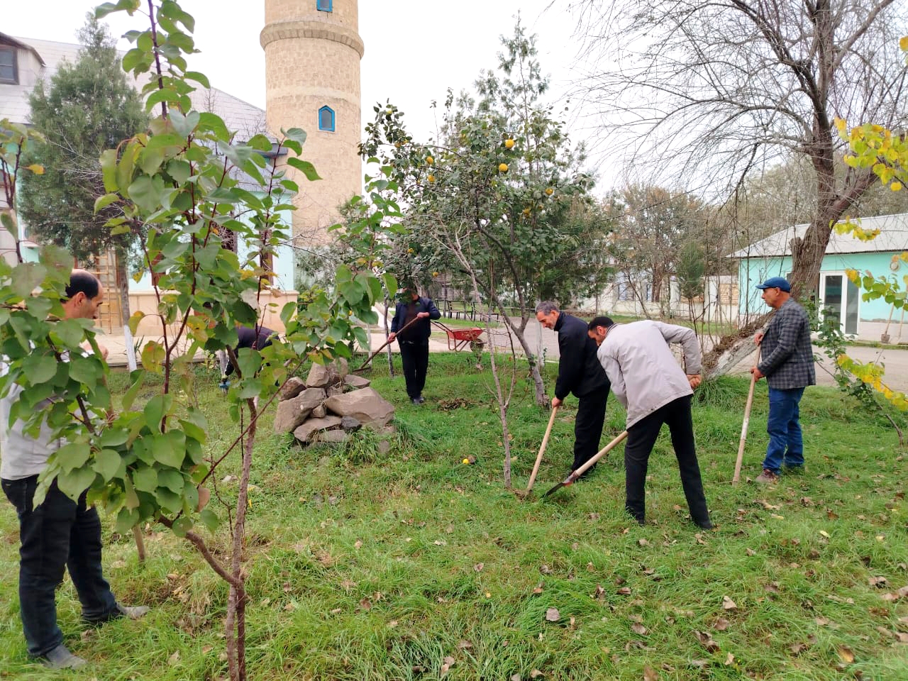 “Yaşıl gələcək naminə” aksiyası davam etdirilir - Image 16