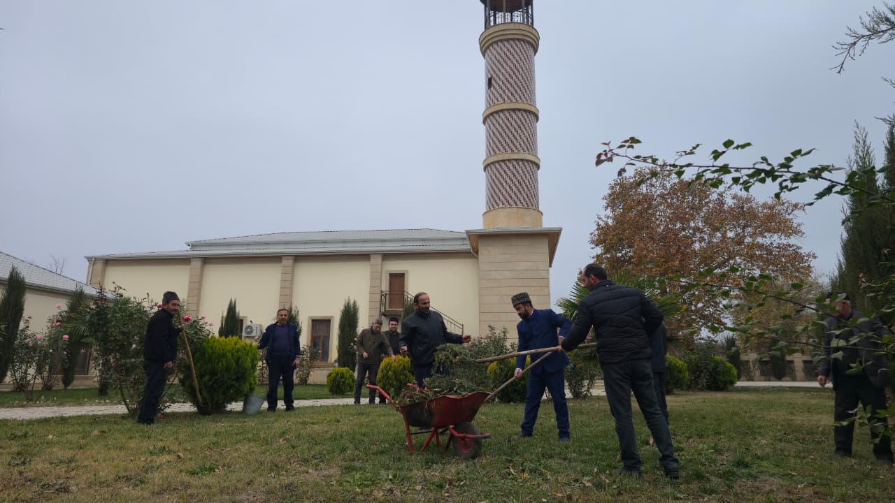 “Yaşıl gələcək naminə” aksiyası davam etdirilir - Image 5