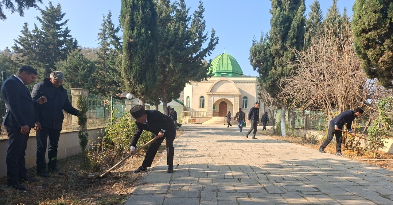 “Yaşıl gələcək naminə” aksiyası davam etdirilir - Image 8