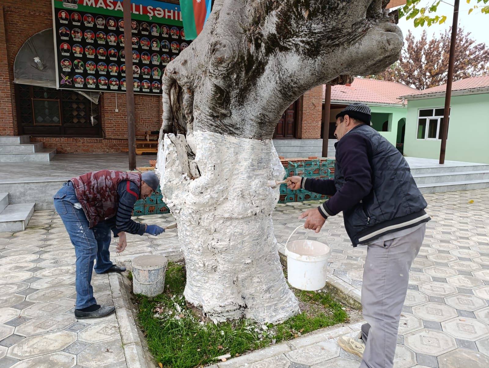 “Yaşıl gələcək naminə” aksiyası davam etdirilir - Image 15