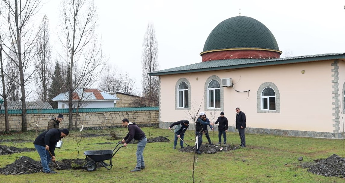 Bölgələrdə “Yaşıl gələcək naminə” aksiyası keçirilib - Image 12