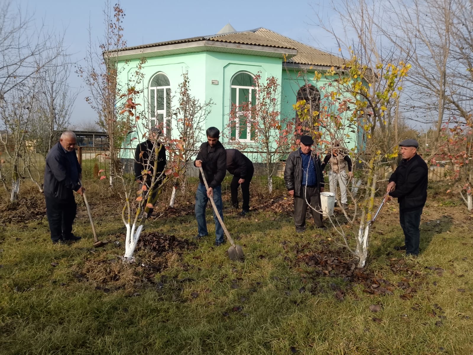 “Yaşıl gələcək naminə” aksiyası davam etdirilir - Image 11