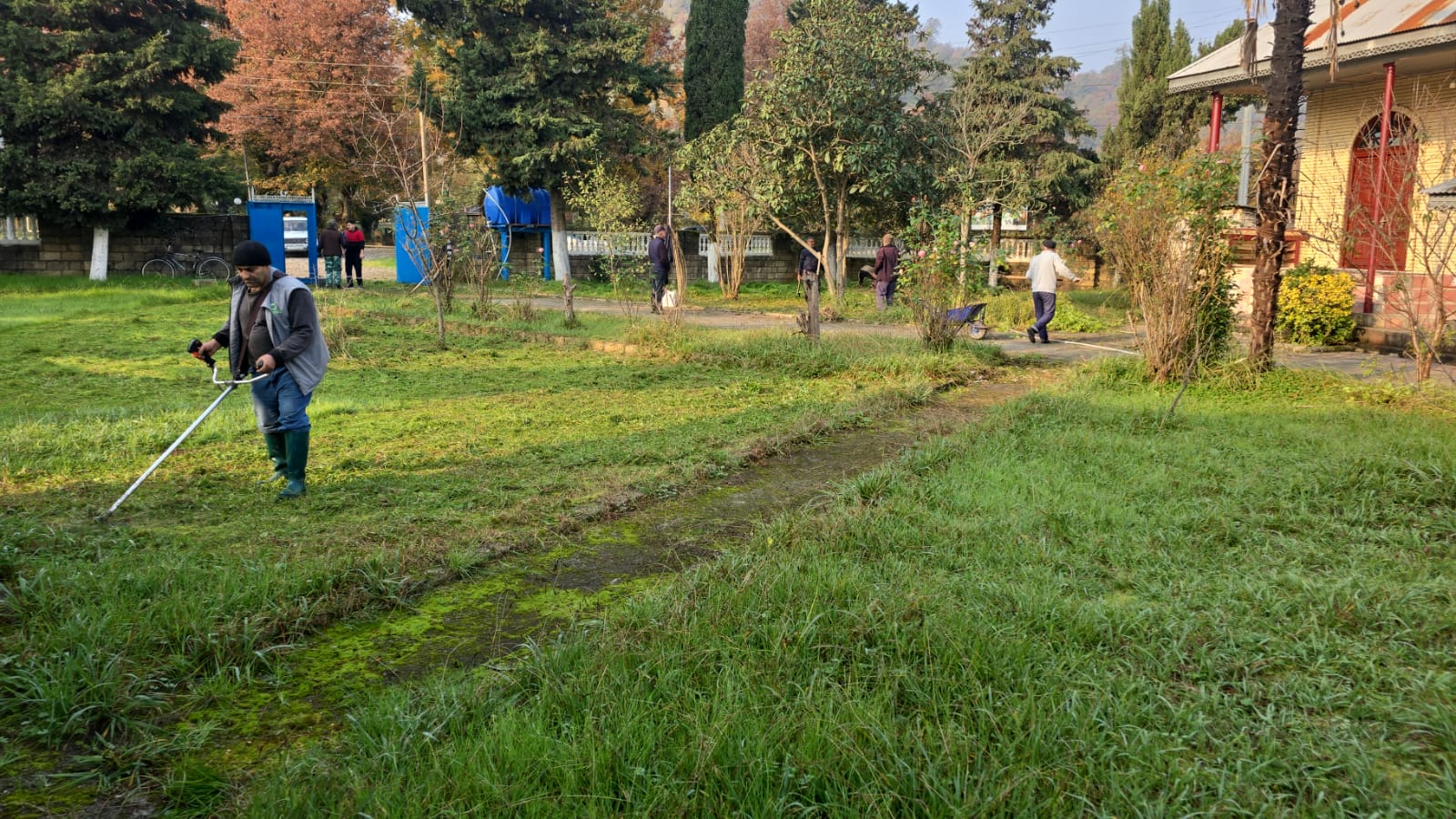 Mərkəzi Aran və Lənkəran-Astara bölgələrində “Yaşıl gələcək naminə” aksiyası keçirilib - Image 8