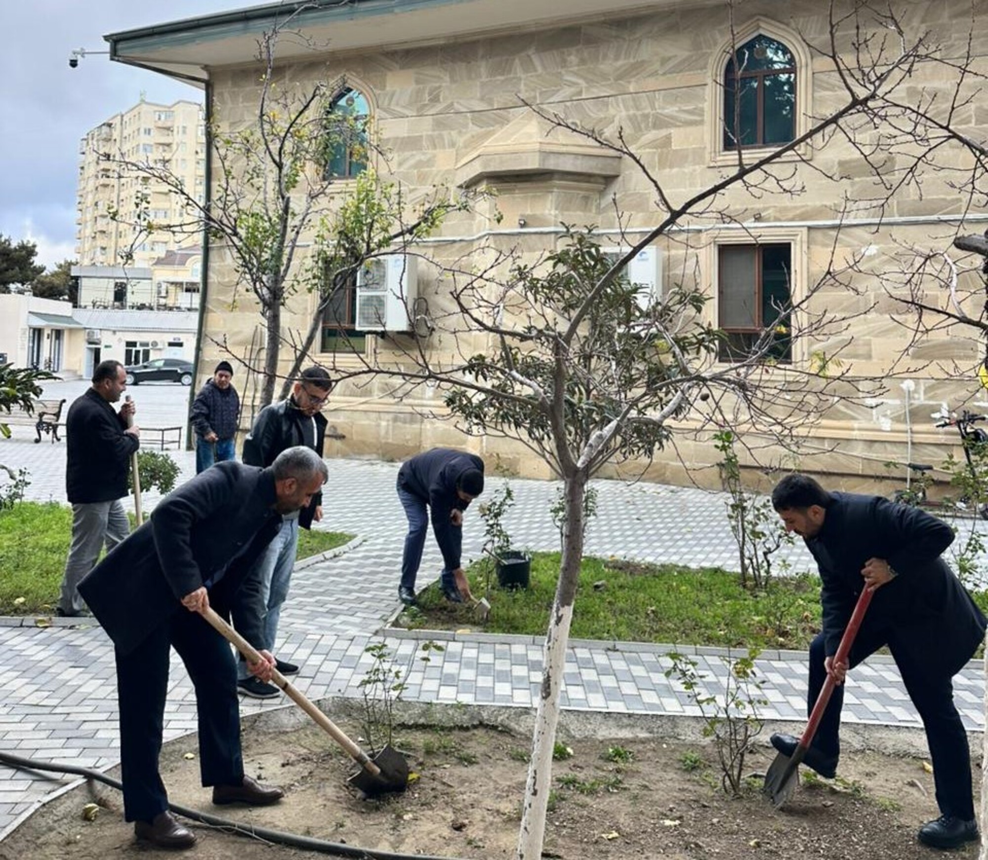 “Yaşıl gələcək naminə” aksiyası davam etdirilir - Image 4