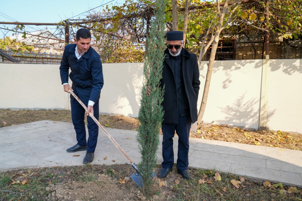“Yaşıl gələcək naminə” aksiyası davam etdirilir - Image 6