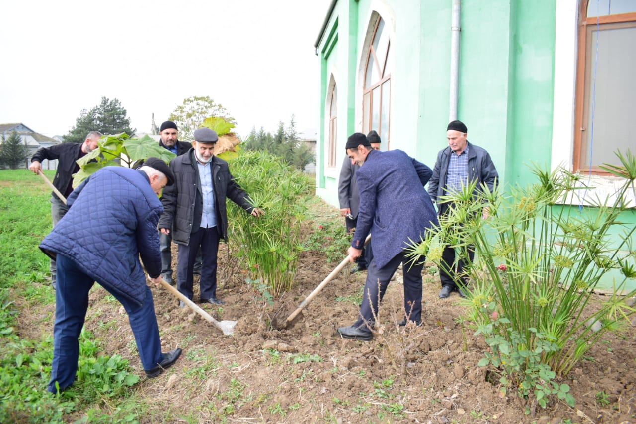 “Yaşıl gələcək naminə” aksiyası davam etdirilir - Image 17
