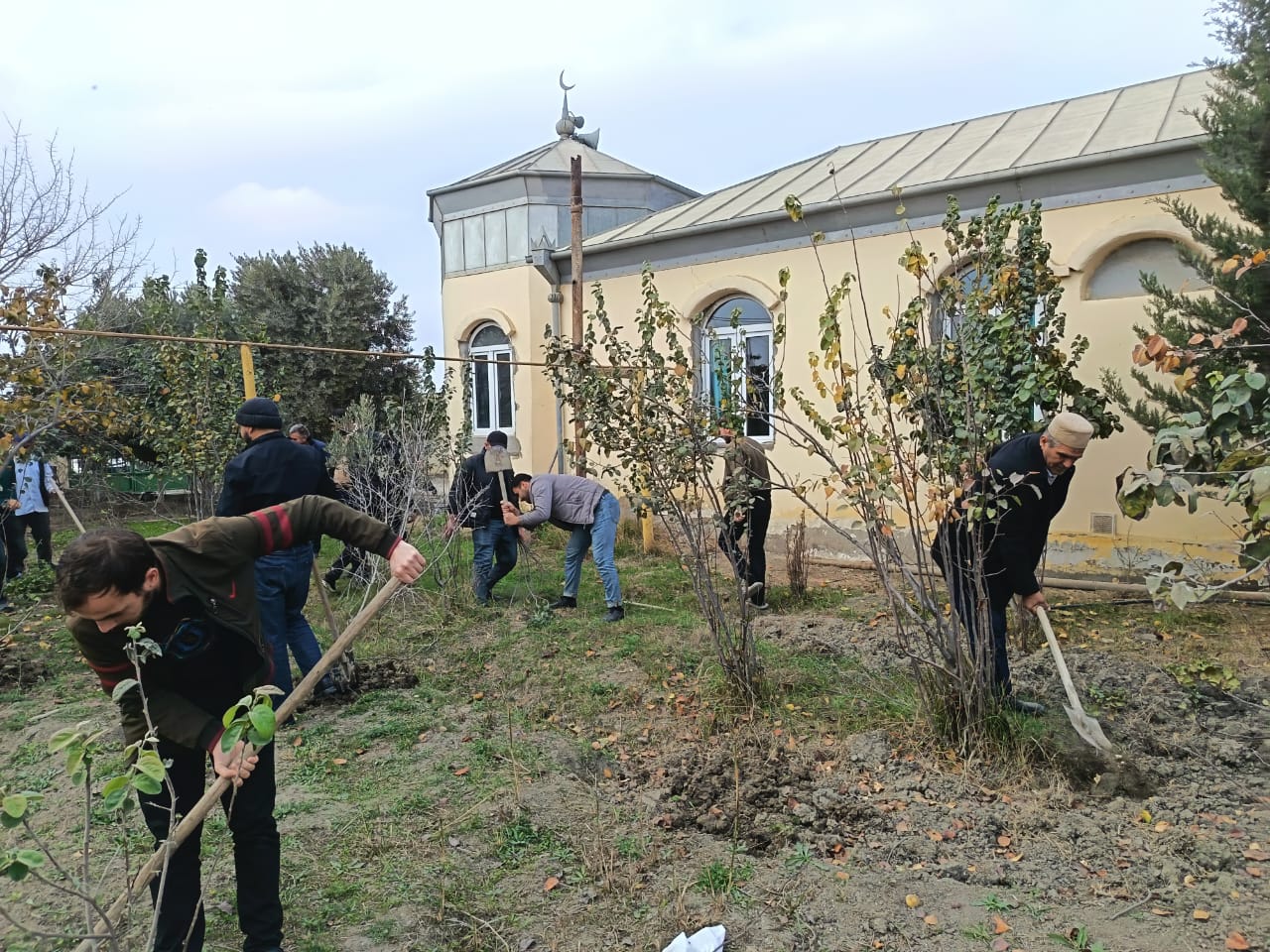 “Yaşıl gələcək naminə” aksiyası davam etdirilir - Image 20