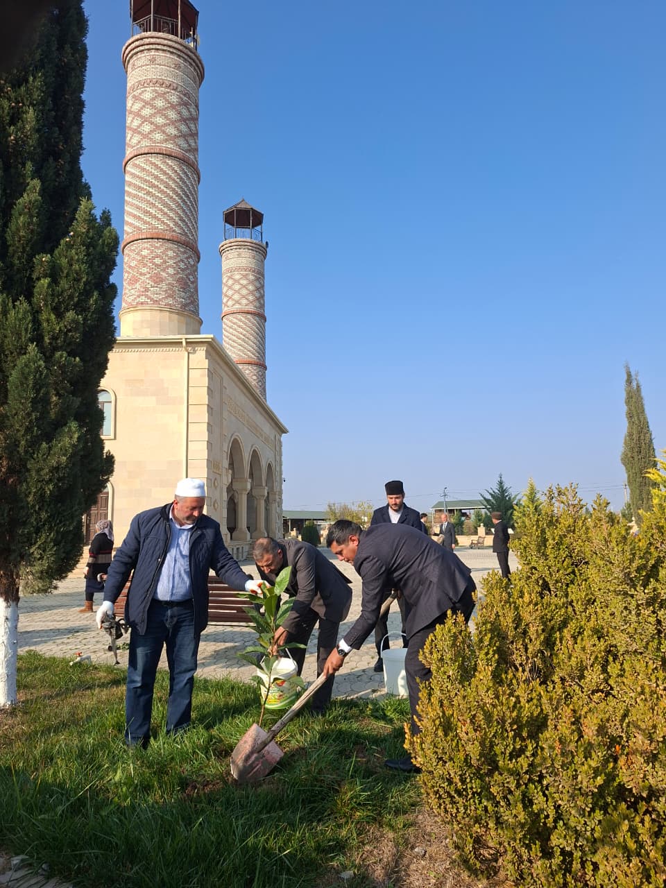 “Yaşıl gələcək naminə” aksiyası davam etdirilir - Image 9