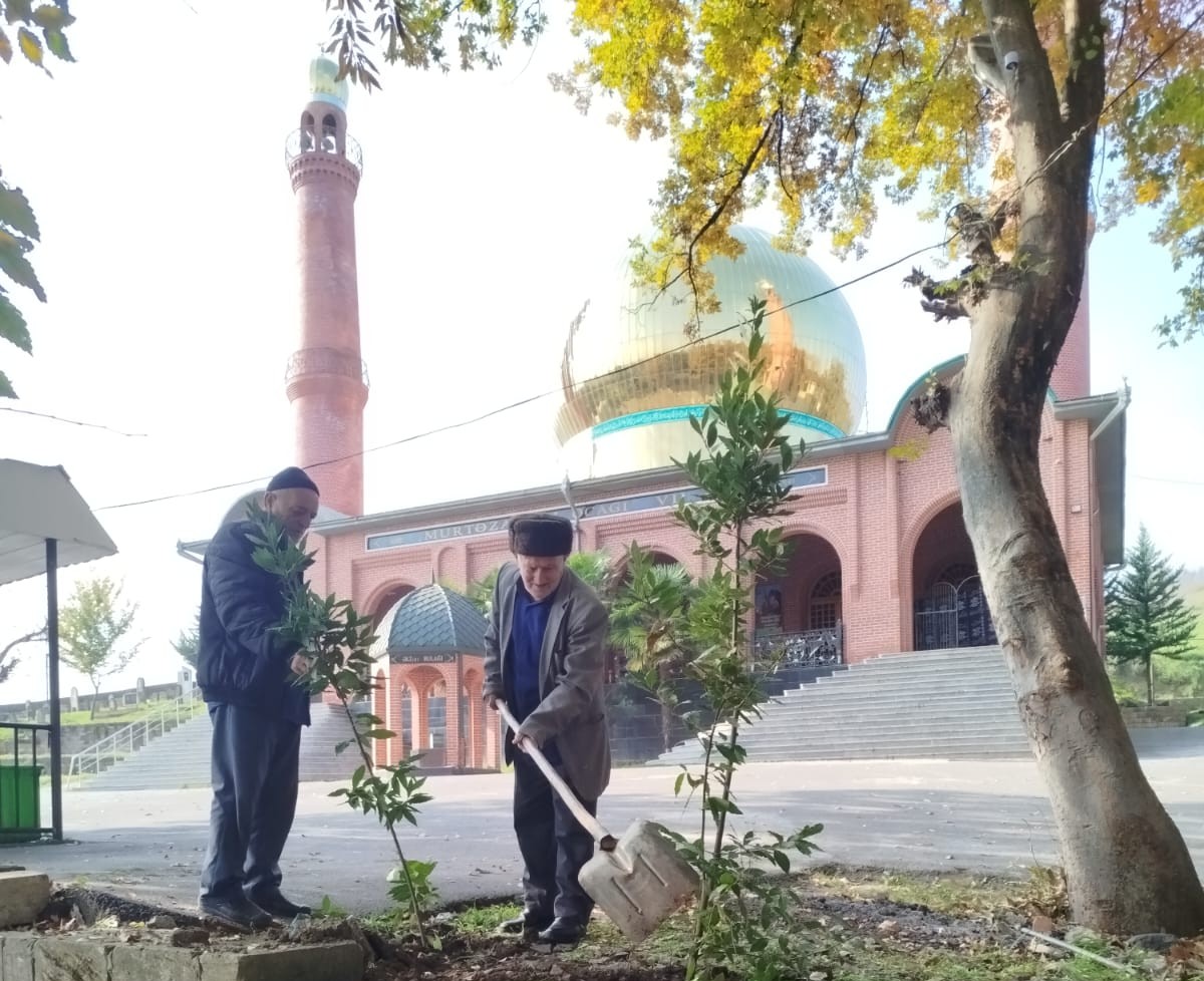 “Yaşıl gələcək naminə” aksiyası davam etdirilir - Image 12