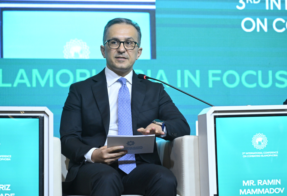 Dövlət Komitəsinin sədri islamofobiya ilə mübarizəyə həsr olunan beynəlxalq elmi konfransda çıxış edib - Image 6