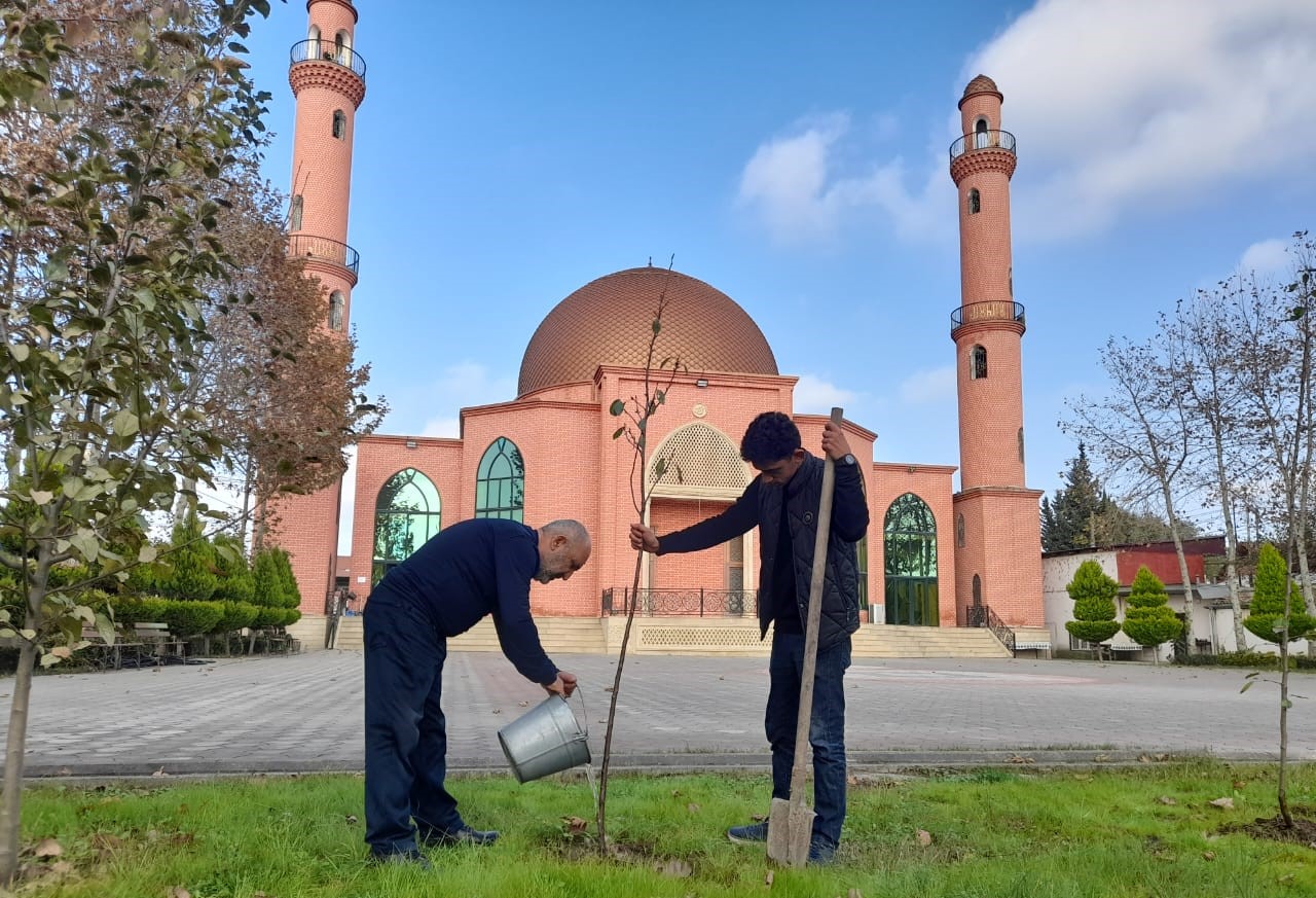 “Yaşıl gələcək naminə” aksiyası davam etdirilir - Image 10