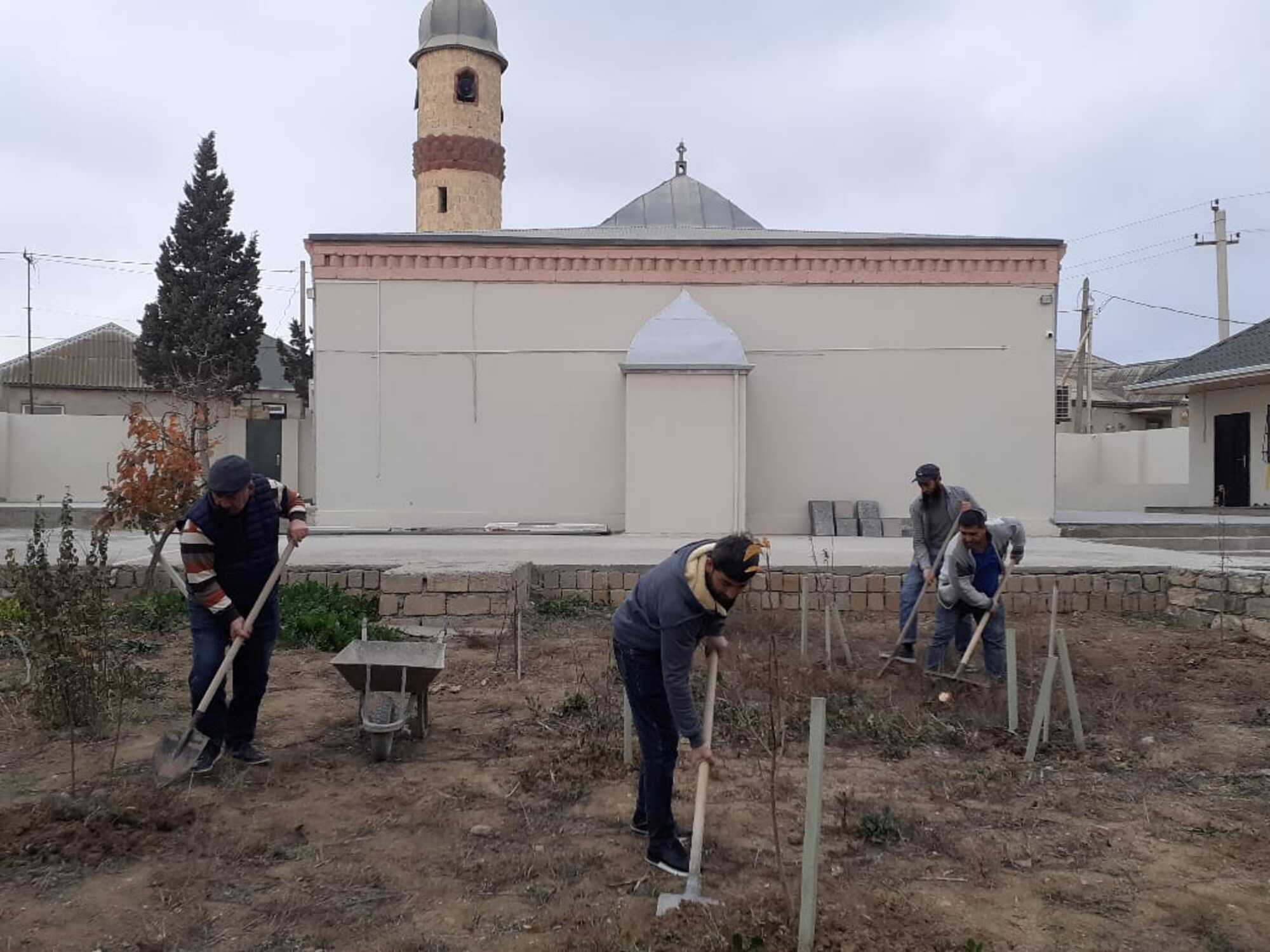 “Yaşıl gələcək naminə” aksiyası davam etdirilir - Image 15