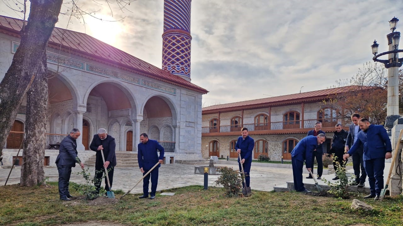 “Yaşıl gələcək naminə” aksiyası davam etdirilir