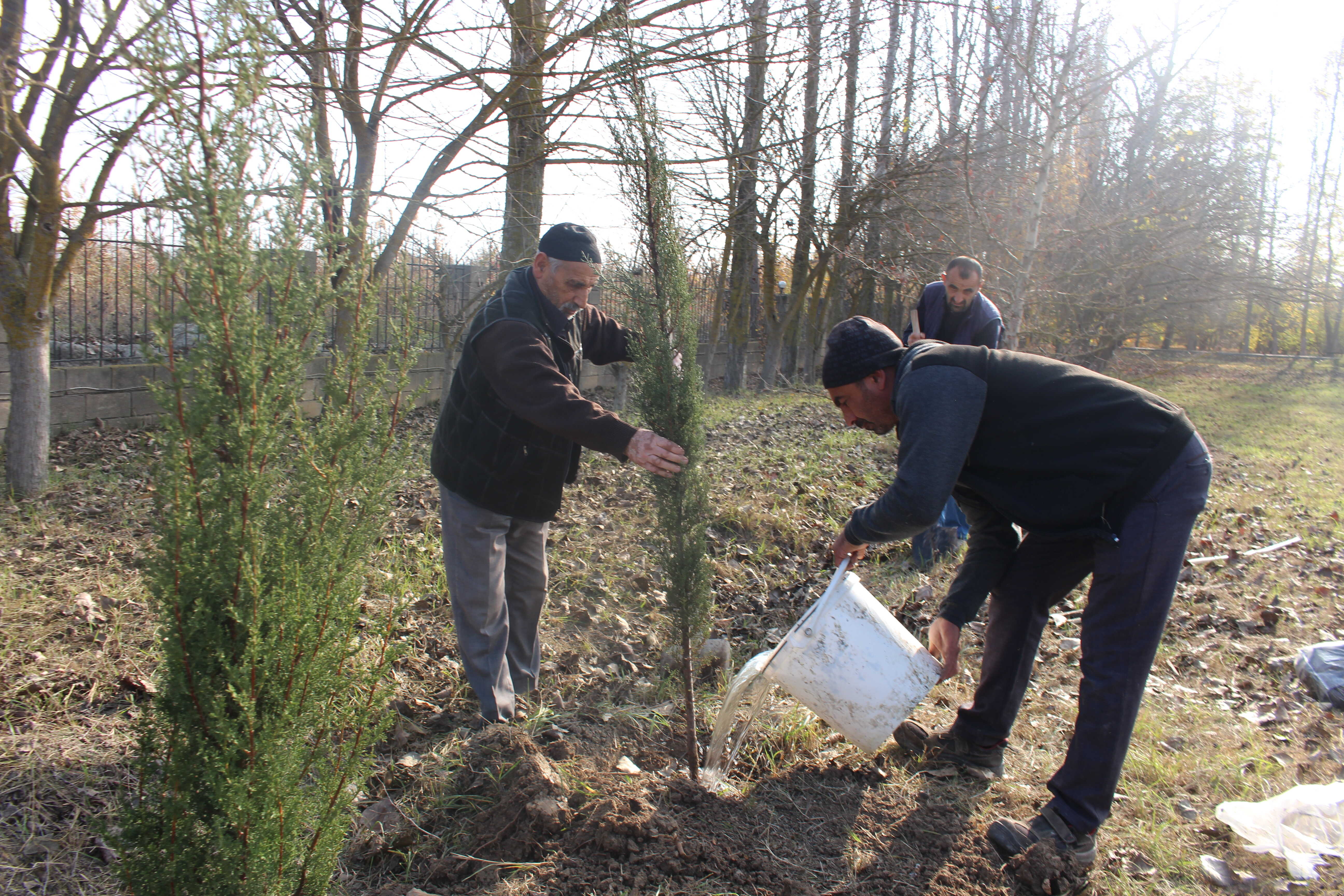 “Yaşıl gələcək naminə” aksiyası davam etdirilir - Image 28