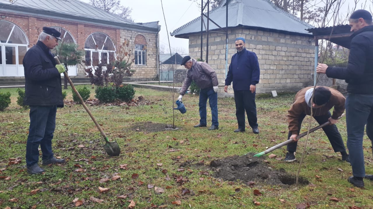 Bölgələrdə “Yaşıl gələcək naminə” aksiyası keçirilib - Image 4