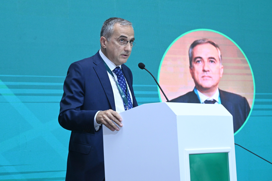 Bakıda “İslamofobiya: Qərəzin ifşa olunması və stiqmaların dağıdılması” mövzusunda beynəlxalq konfrans keçirilir - Image 8
