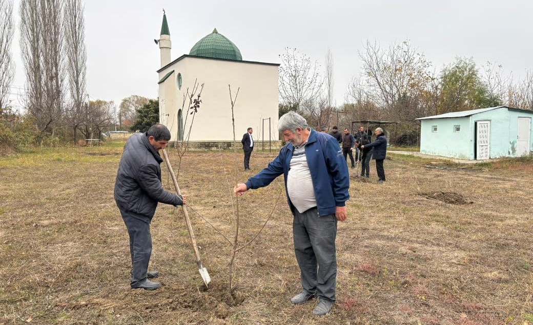 “Yaşıl gələcək naminə” aksiyası davam etdirilir - Image 4
