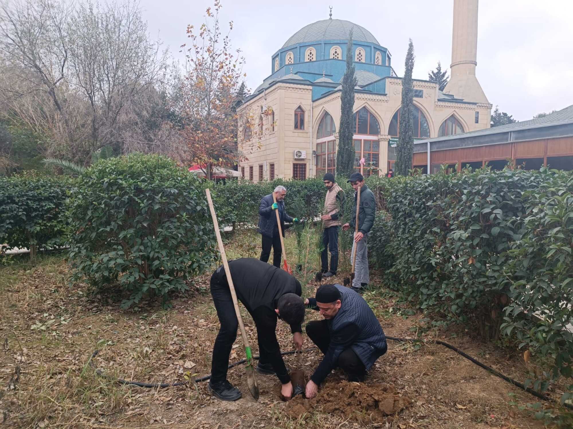 “Yaşıl gələcək naminə” aksiyası davam etdirilir - Image 11