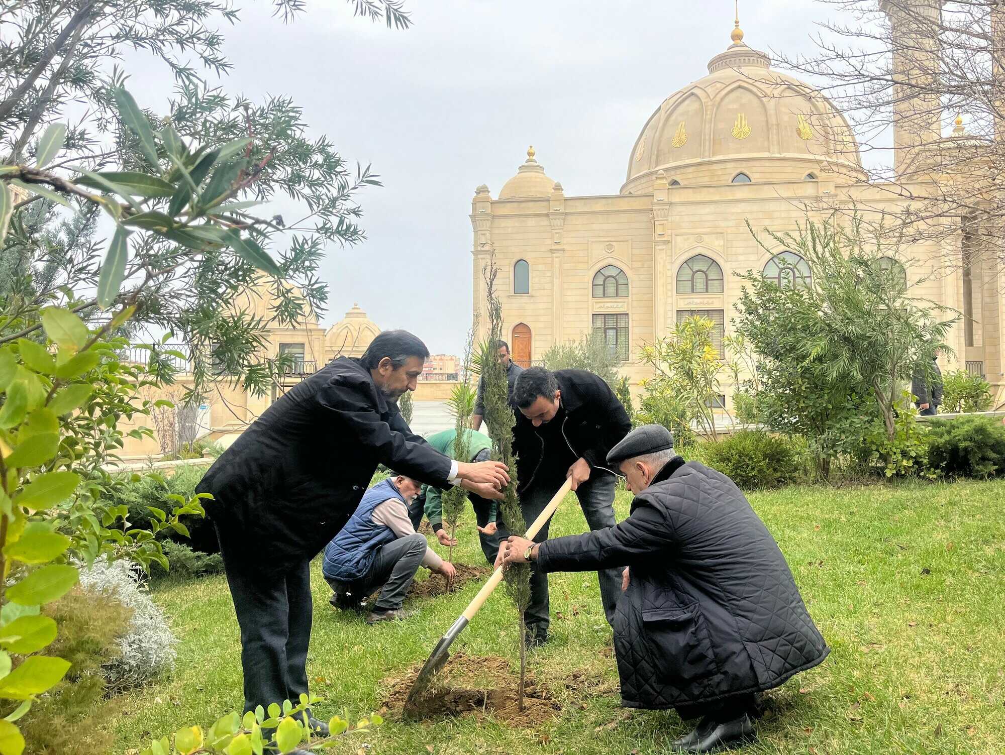 “Yaşıl gələcək naminə” aksiyası davam etdirilir - Image 1