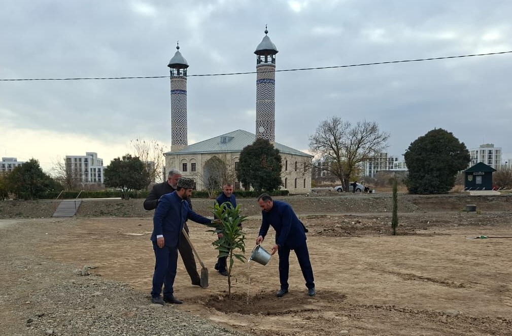“Yaşıl gələcək naminə” aksiyası davam etdirilir - Image 2
