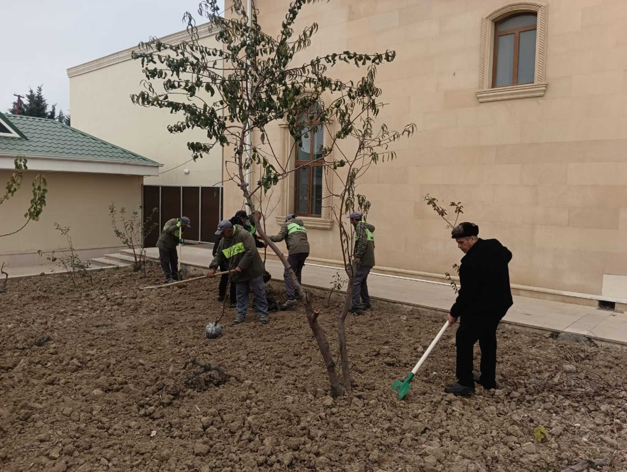 “Yaşıl gələcək naminə” aksiyası davam etdirilir - Image 6