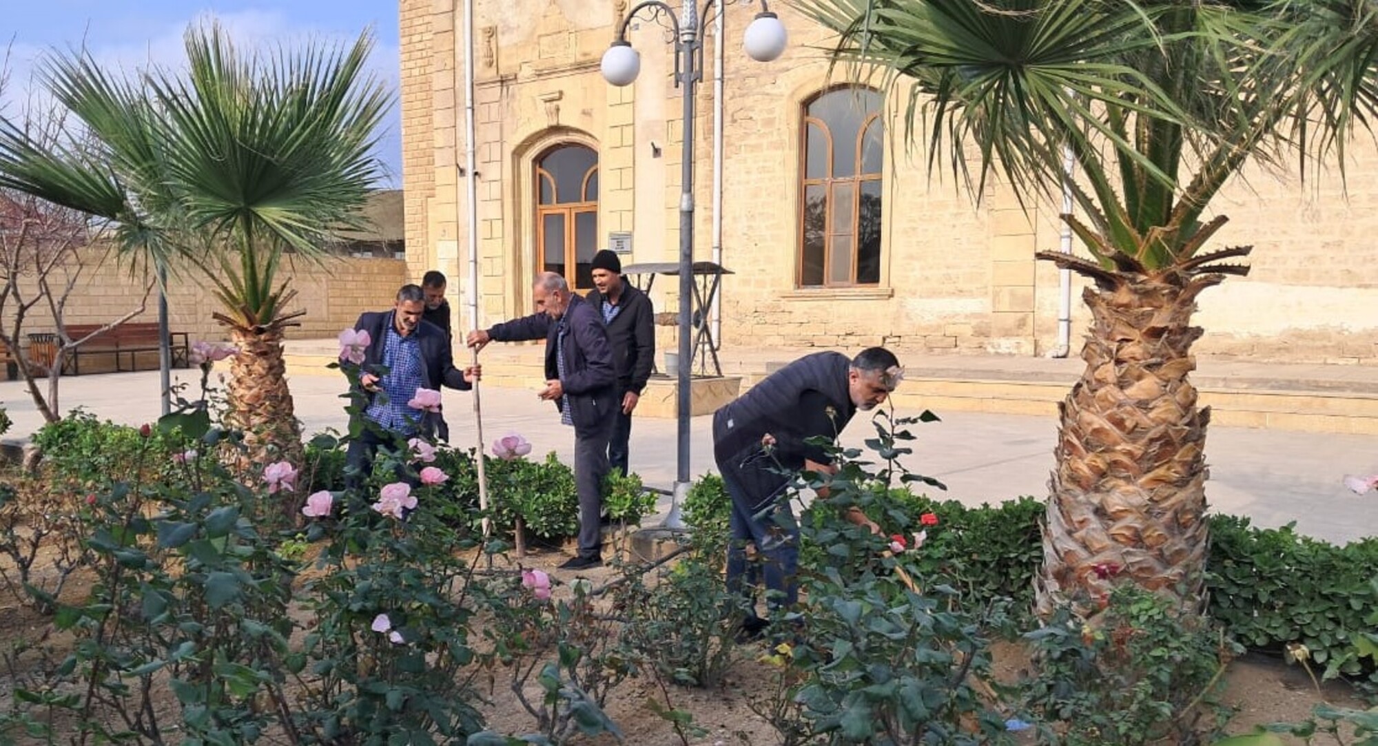 “Yaşıl gələcək naminə” aksiyası davam etdirilir - Image 14