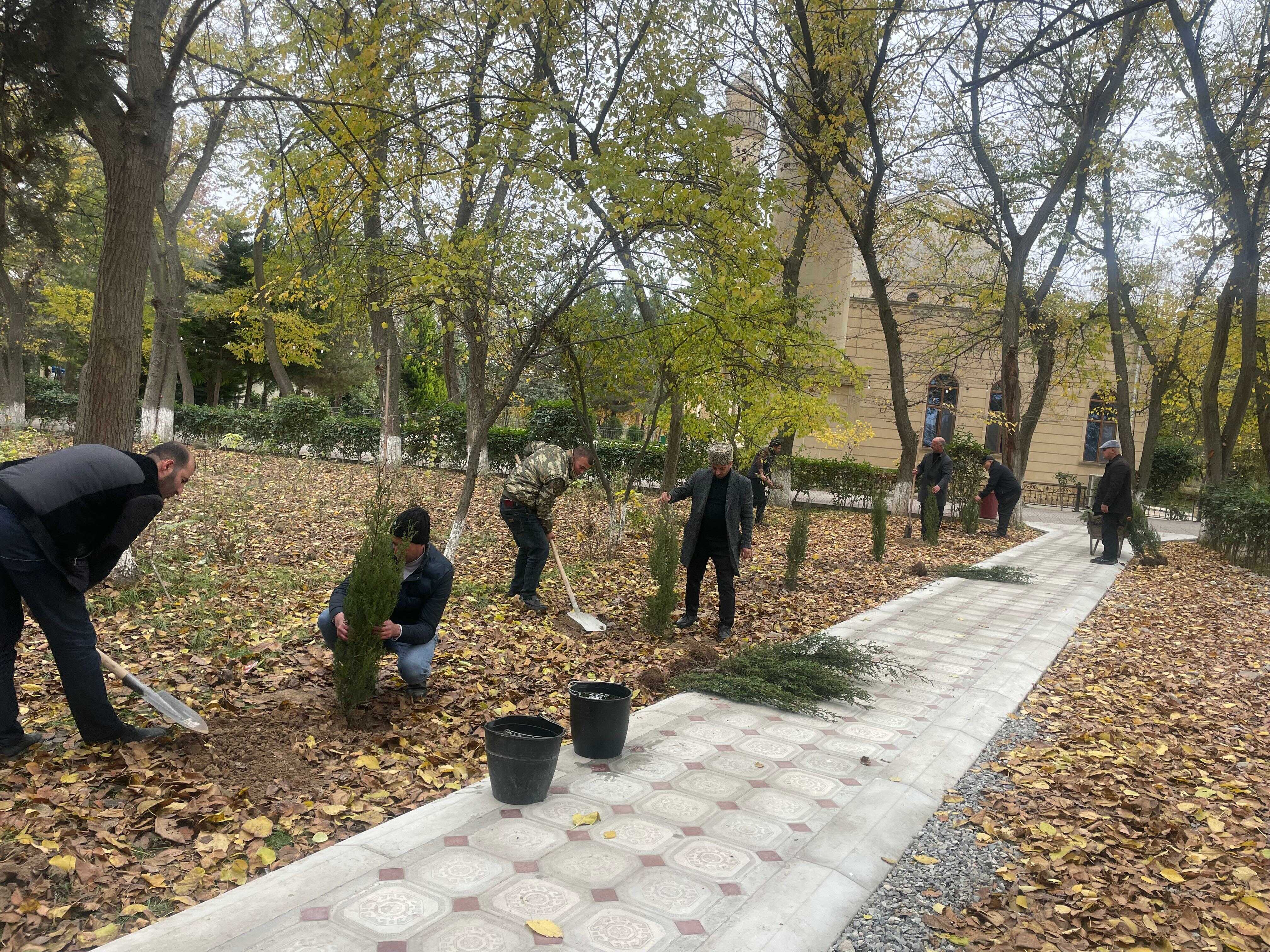 “Yaşıl gələcək naminə” aksiyası davam etdirilir - Image 24